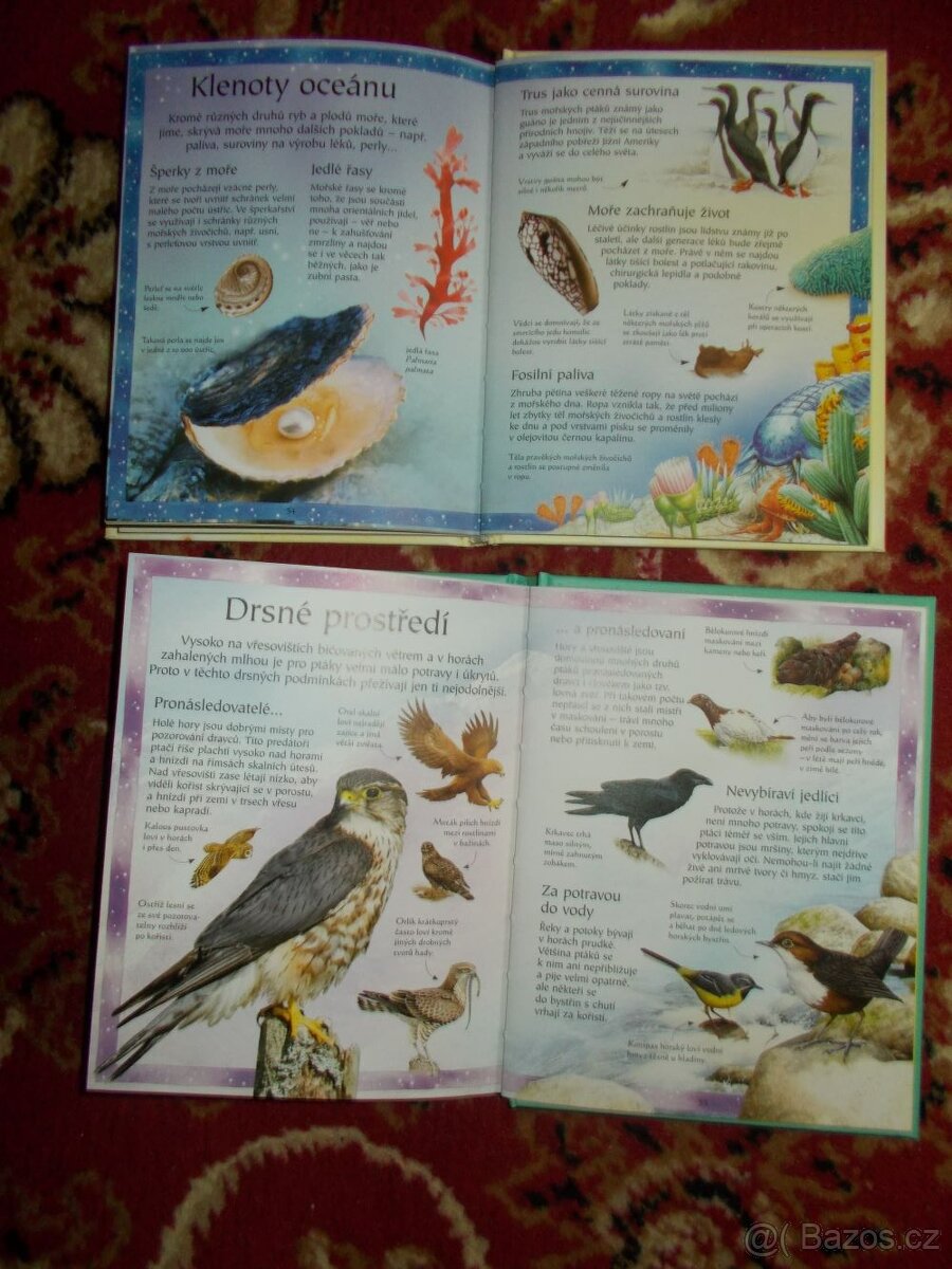 Ptáci a Pobřeží knihy - 2