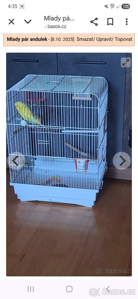 Mlade andulky i s kleci - 2