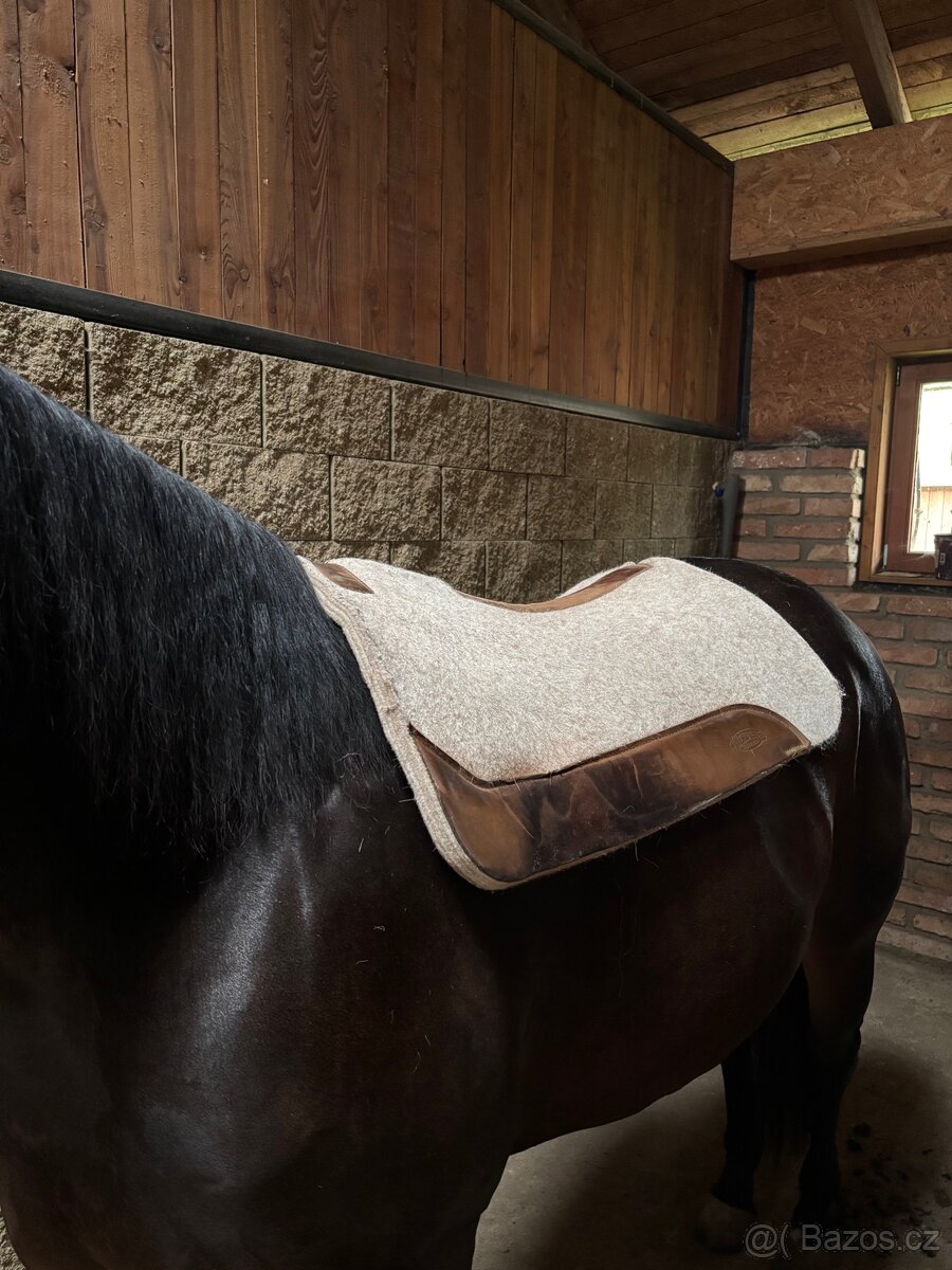 westernová podsedlová deka - 2
