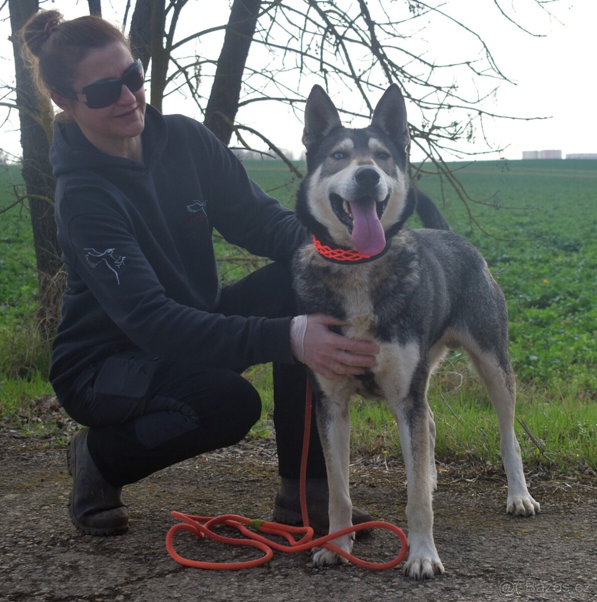 🐾 Rony – oddaný pejsek, který by pro svého člověka snesl i - 2