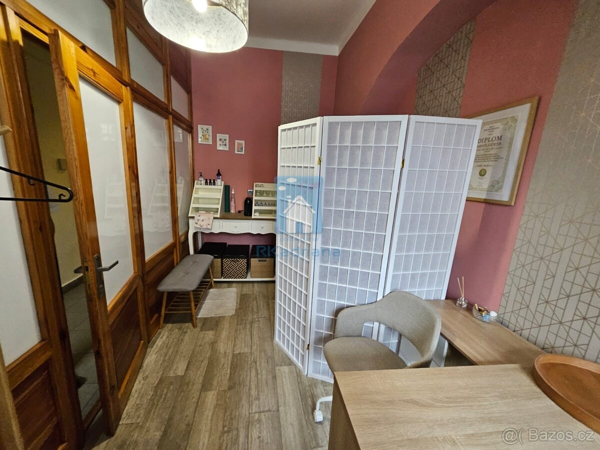 Pronájem sdíleného prostoru v centru Plzně, Sady 5. května, - 2