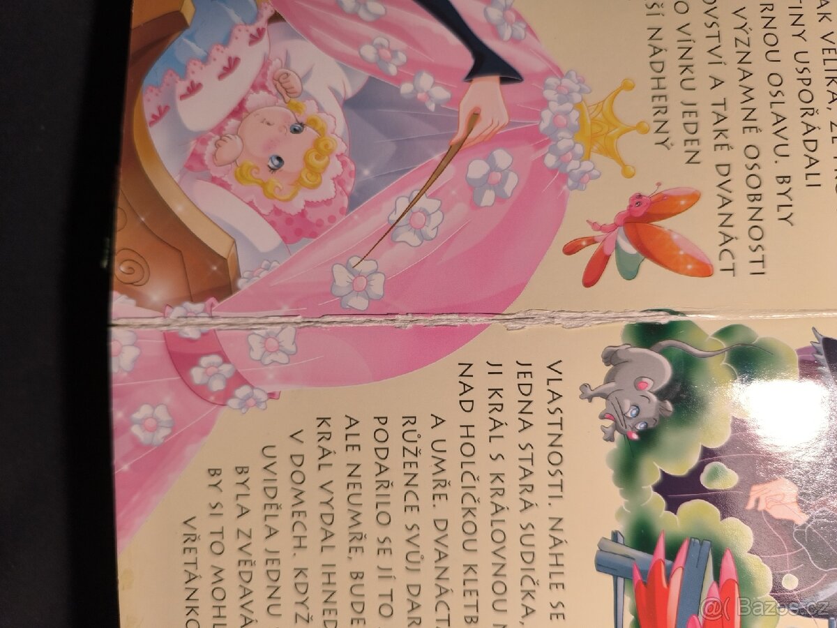 Velká kniha o princeznách - 2