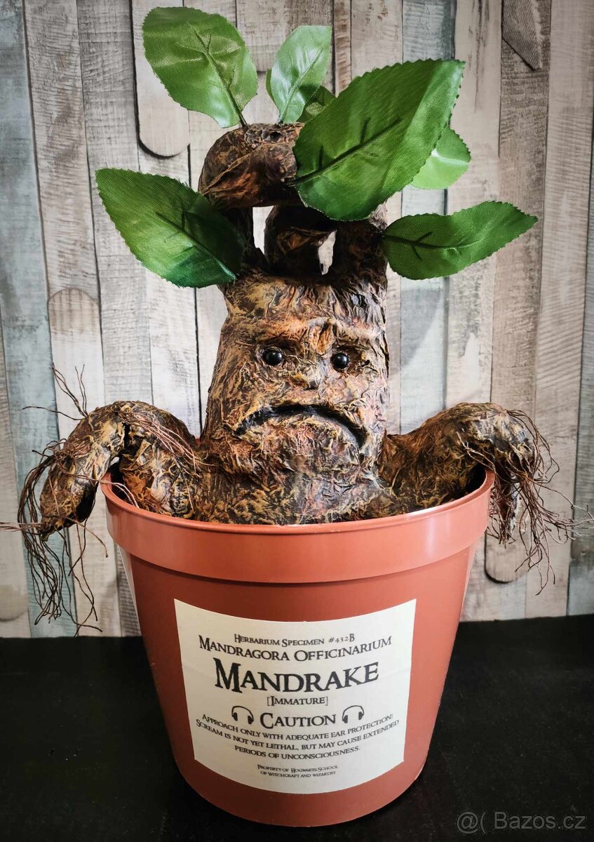 Mandragora Harry Potter - 2