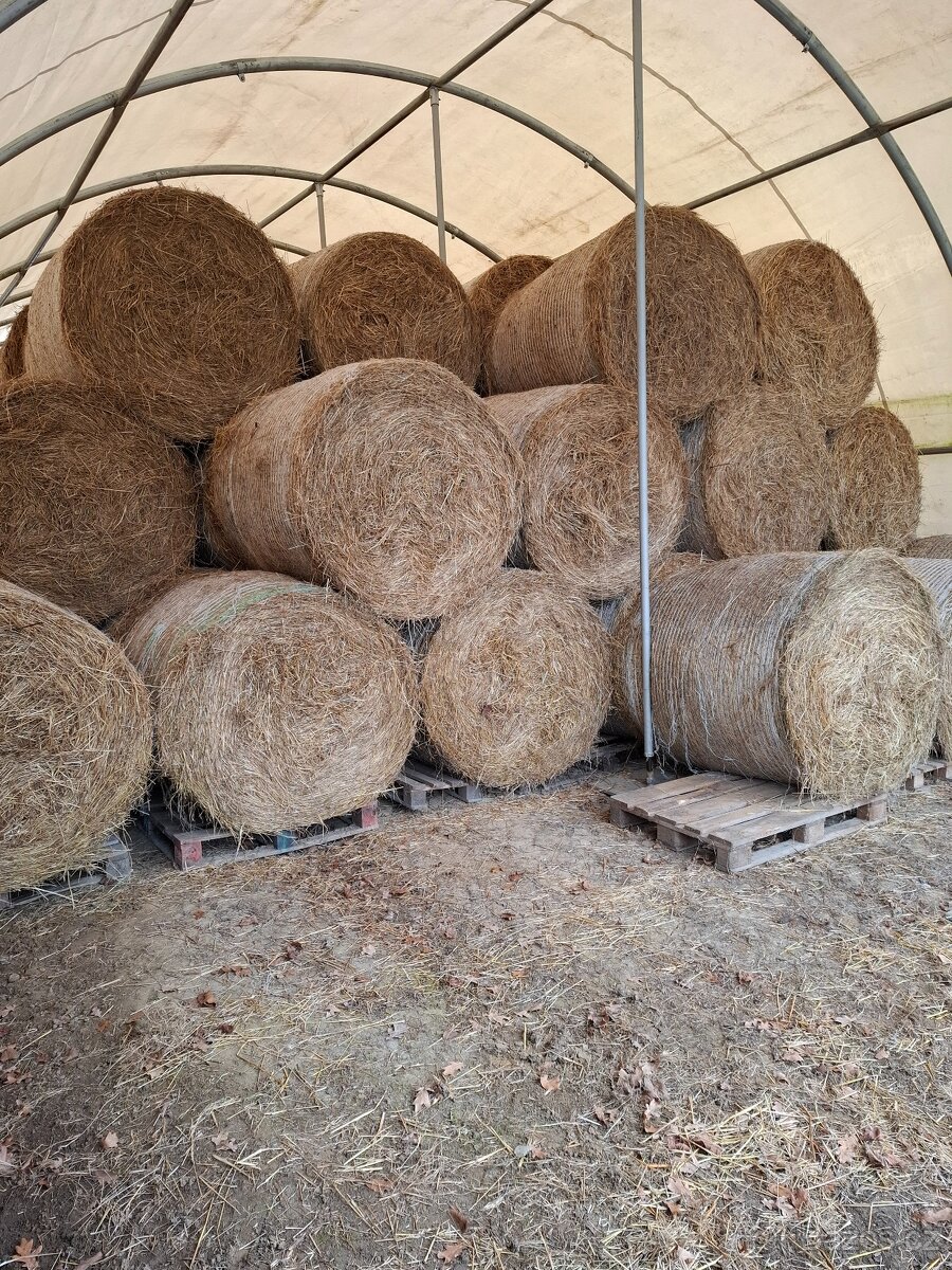 Prodám loňske seno 2024 - 2