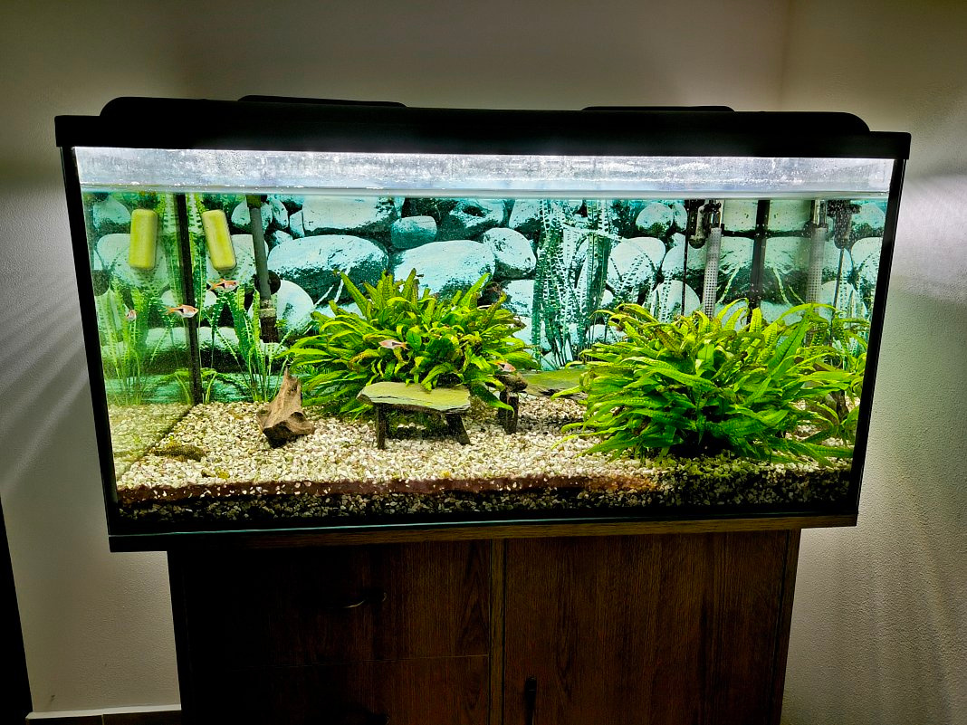 Prodám akvárium - 2