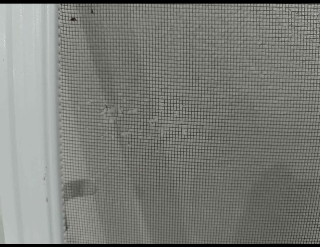 Okenní sítě 4 ks - 2