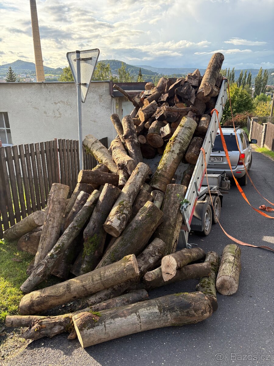 Palivové Dřevo Jasan - 2