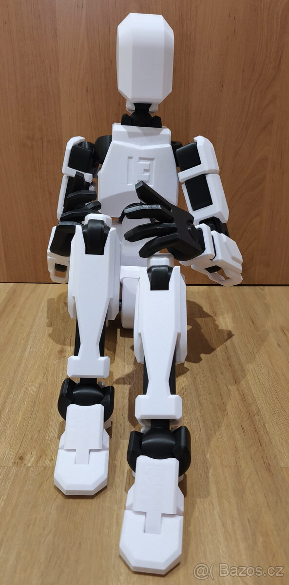 Dummy 13 - 3D tisk - 2