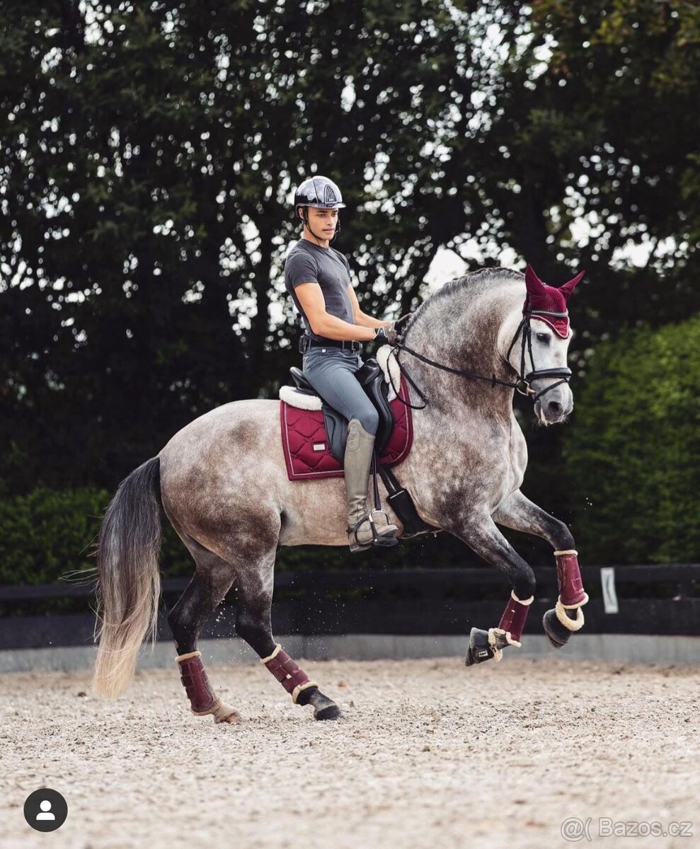 Equestrian Stockholm Bordeaux DL - 2