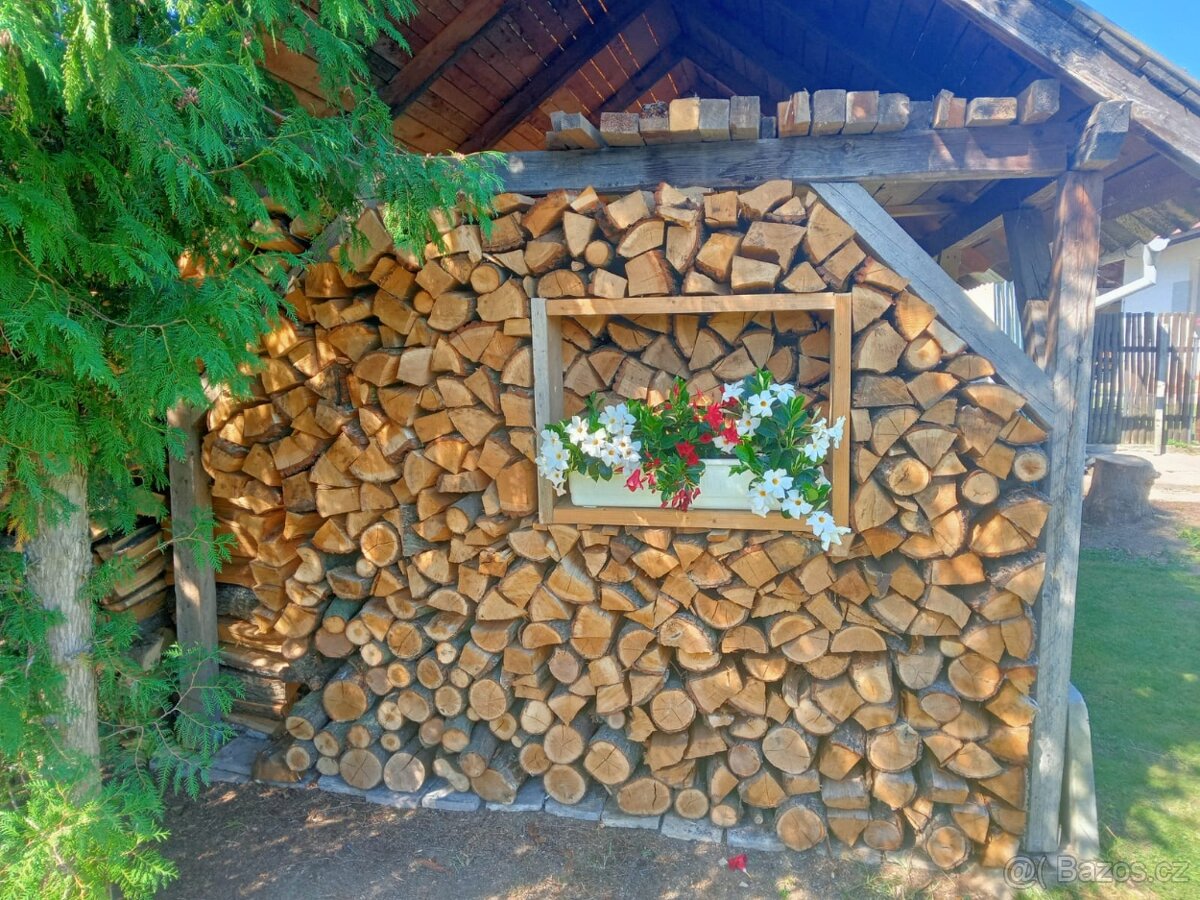 suché palivové dřevo - 2