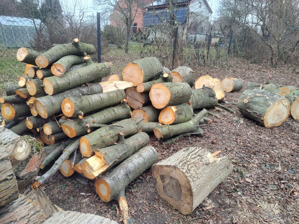 Třešeň - dřevo na uzení - 2