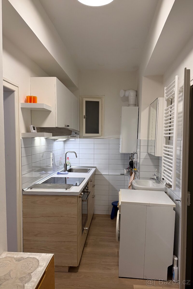 Pronájem bytu 2+1 v RD v Brně - Černá Pole - 2