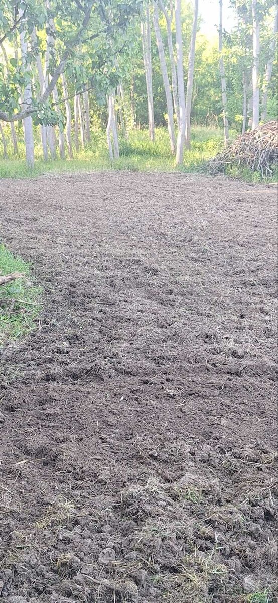 Práce s malotraktorem mulčování - 2