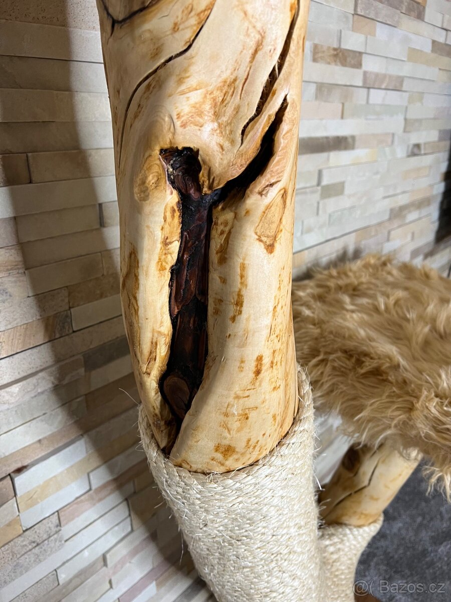 Stromy pro kočky - 2