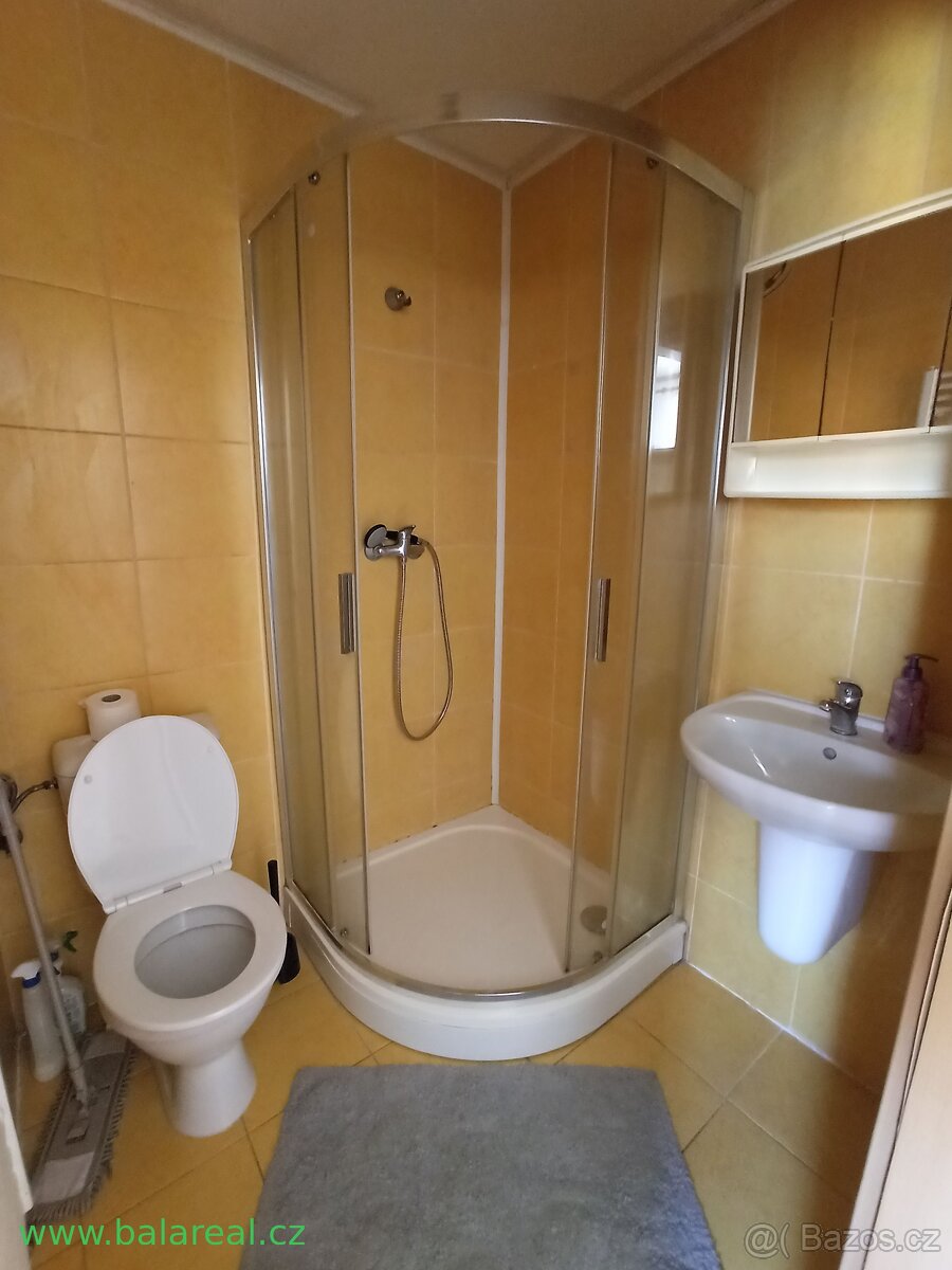 1+kk 20m2 v Brně-Ořešíně - 2