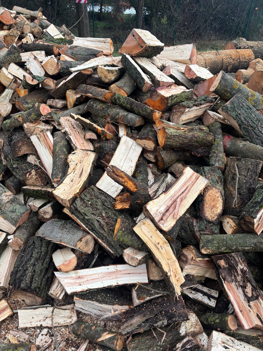 Palivové dřevo tvrdé - 2