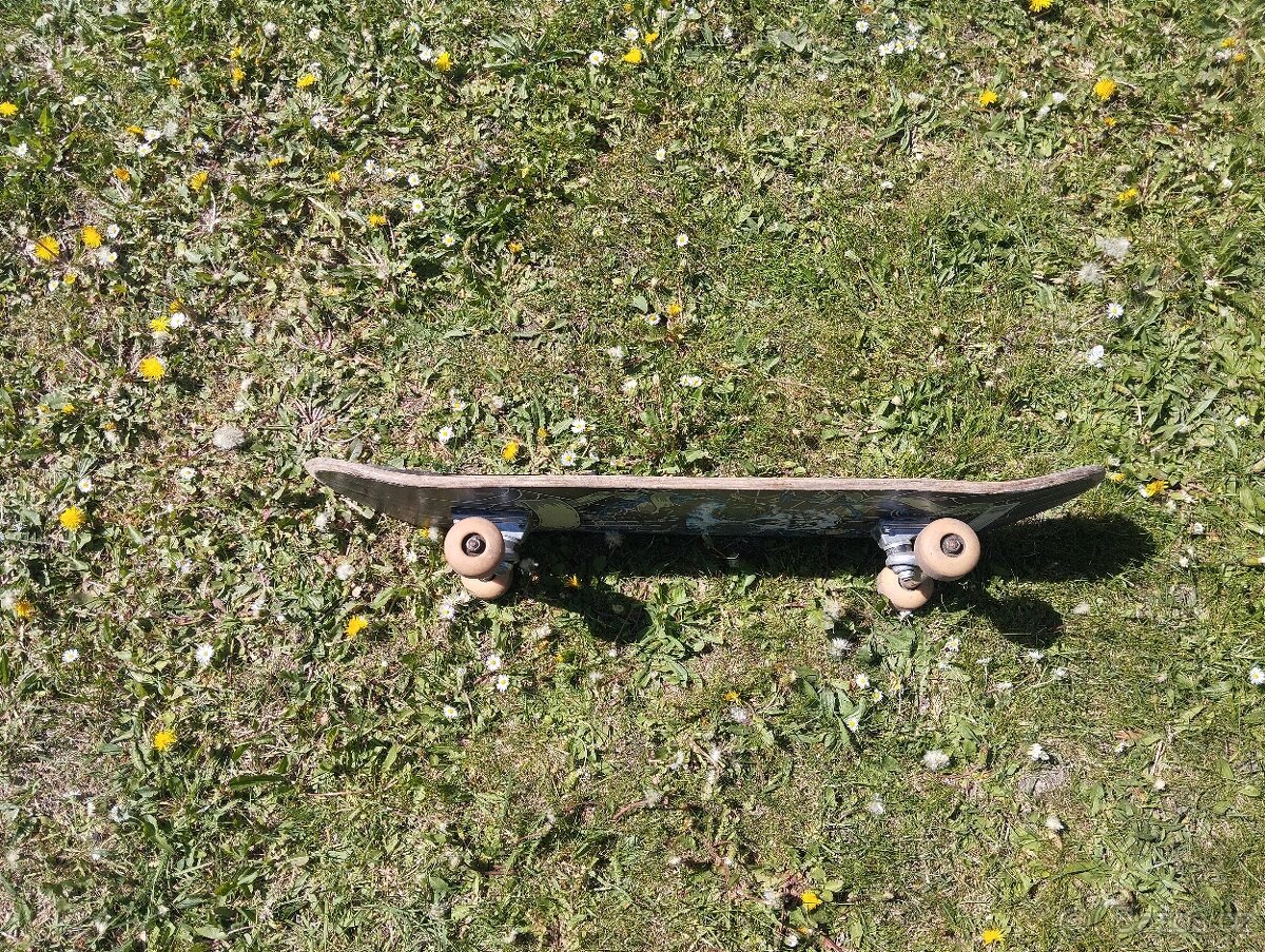 skateboard - 2