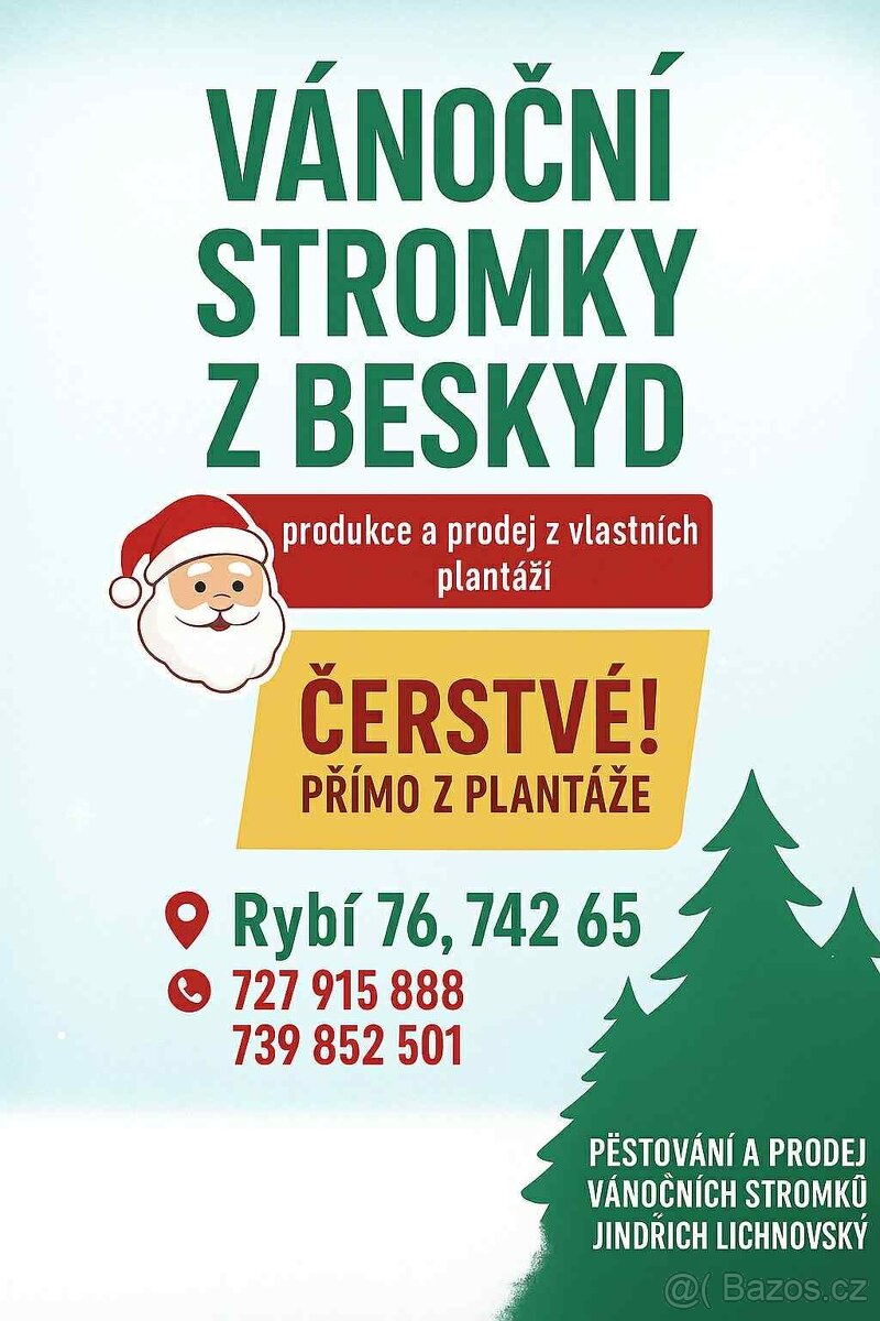 Vánoční stromky z Beskyd (vlastní produkce) - 2