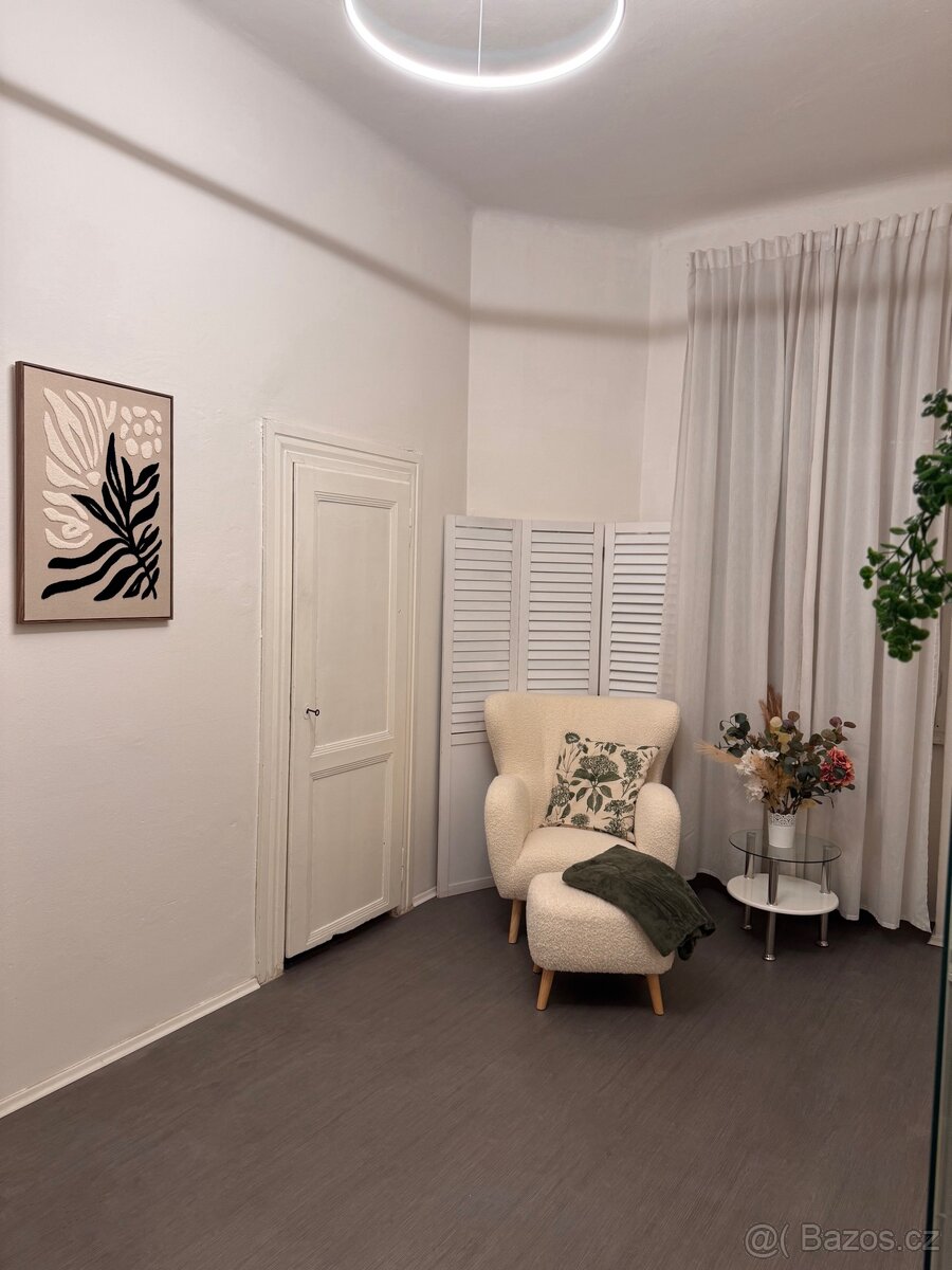 Pronájem místnosti Praha 2 - 2