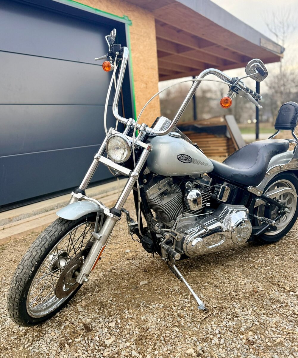 Harley Davidson FXST 2006 - 2