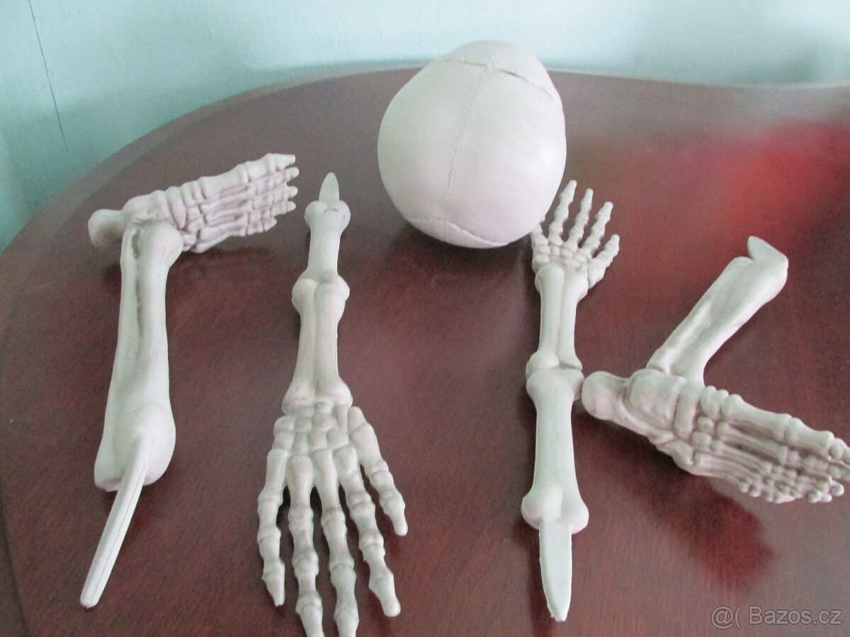 plastové kostra - 2