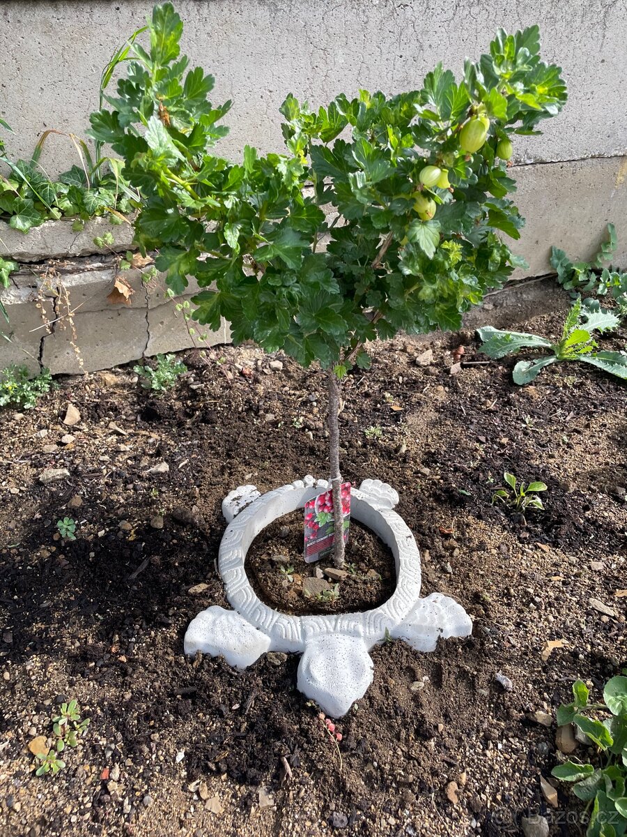 Betonový obrubník želva - 2