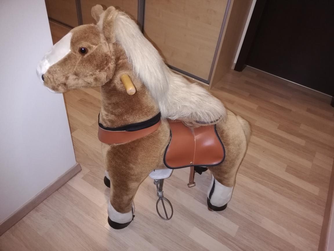 Kůň jezdící, cválací - 2