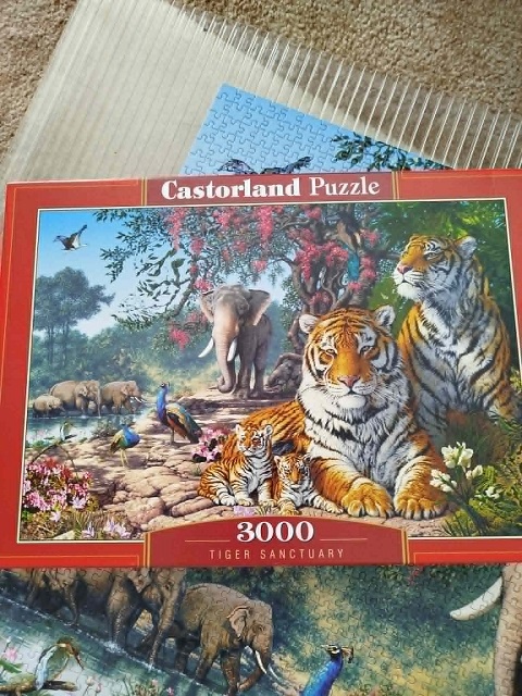 Puzzle 3000 Tygři Castorland - 2