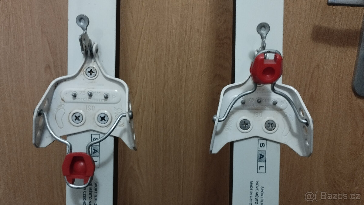 Běžky ARTIS 195 cm - 2