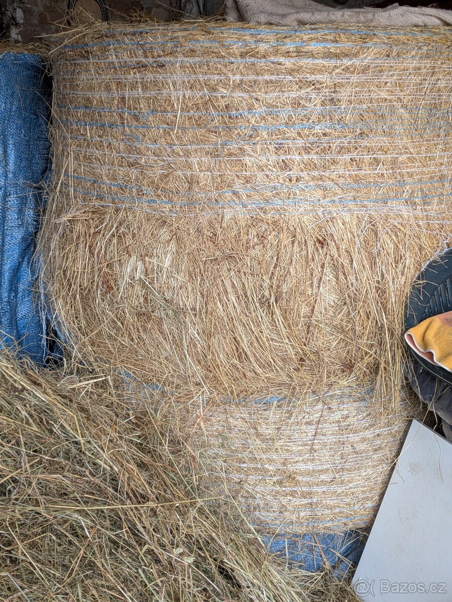 Prodám seno-balik,žok - 2