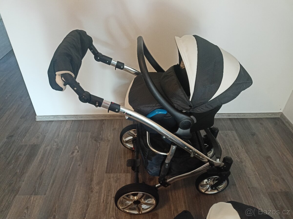 Camarelo alicante - 2