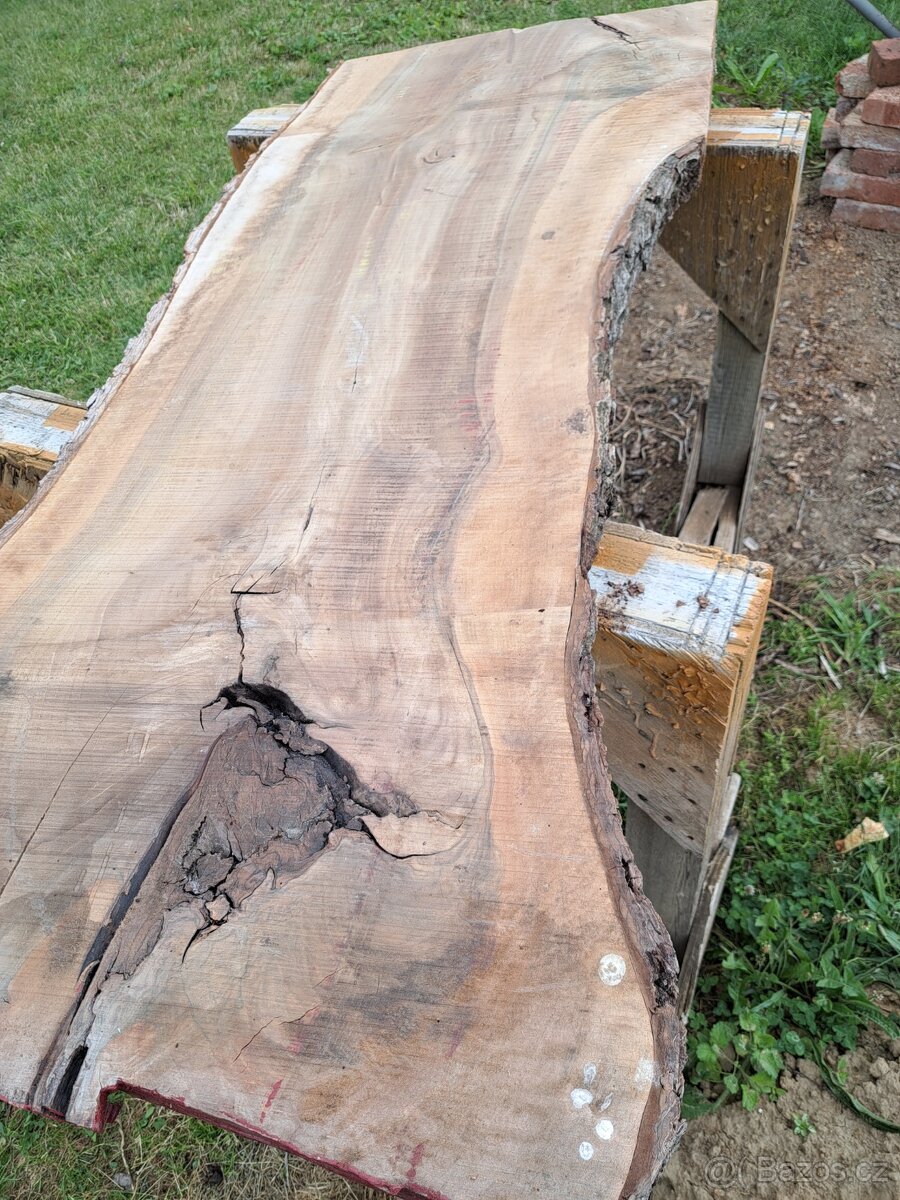 Fošny ořešáku - 2