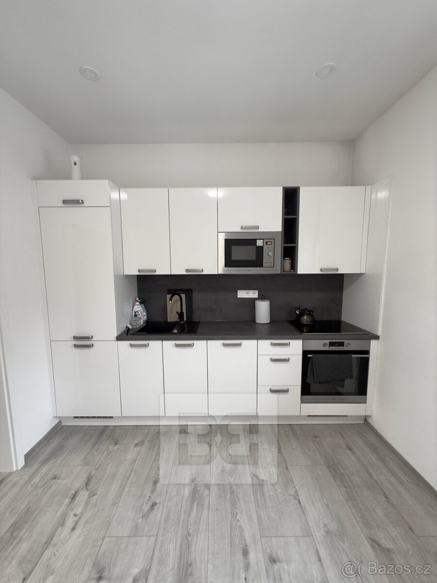 Pronájem bytu 1+1 45 m², se zahradou 100 m² - Mělník - 2