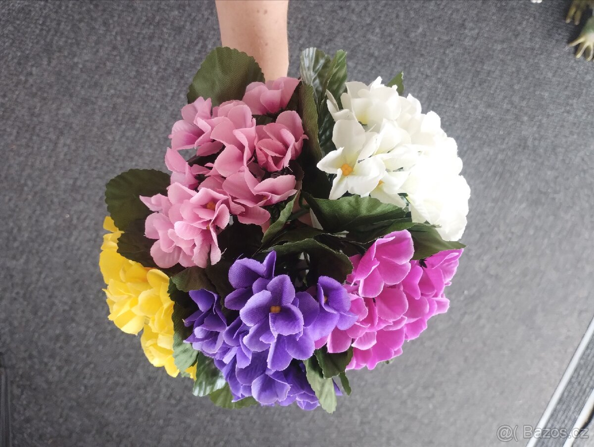 Petrklíč růžová bílá žlutá fialová akce 29Kč - 2