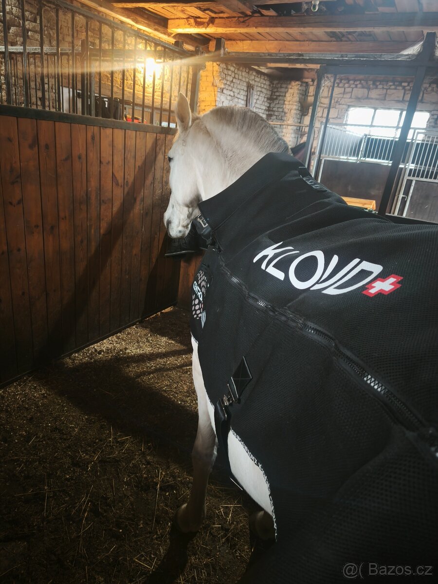 Pronájem magnetické deky pro koně i jezdce - 2