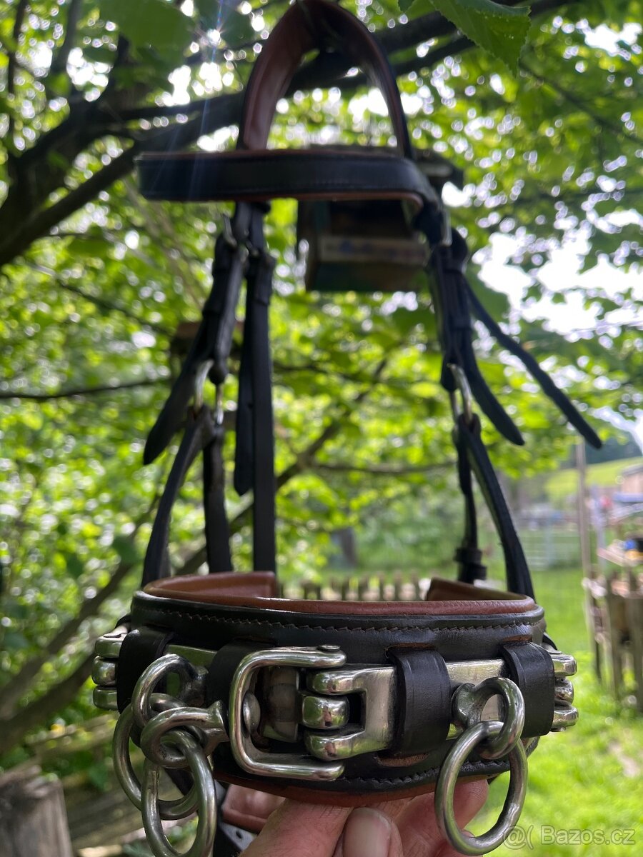 Kožený lonžovací obnosek - 2