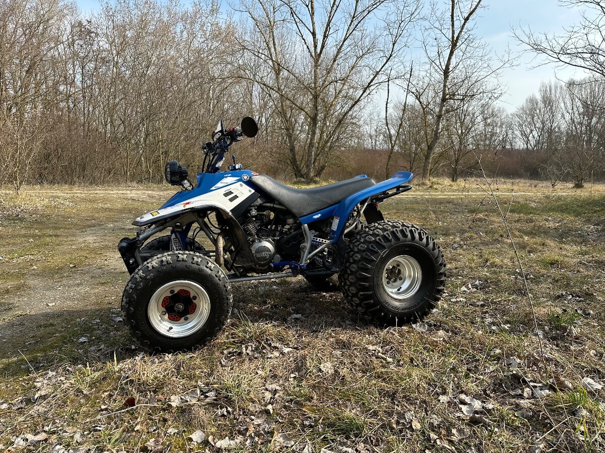 Yamaha Warrior 350