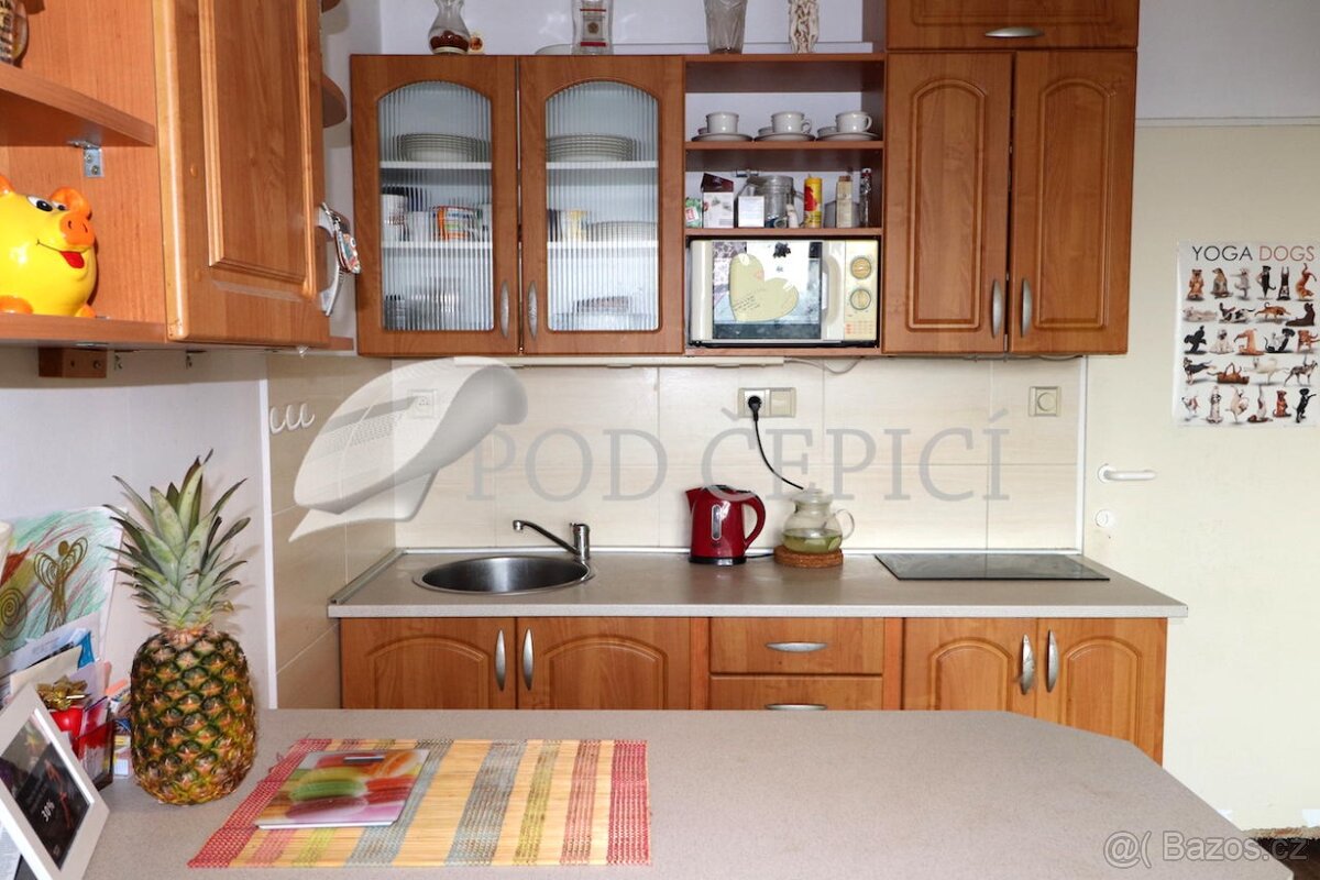 Pronájem bytu 1+kk se sklepem, 26m2, Horácké náměstí, Brno - 2