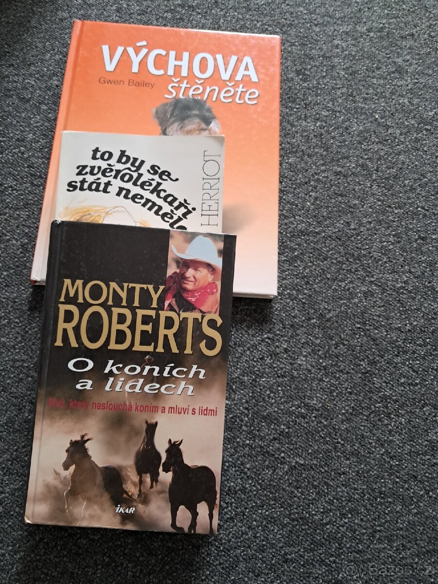 Knihy pro děti/mládež - 2