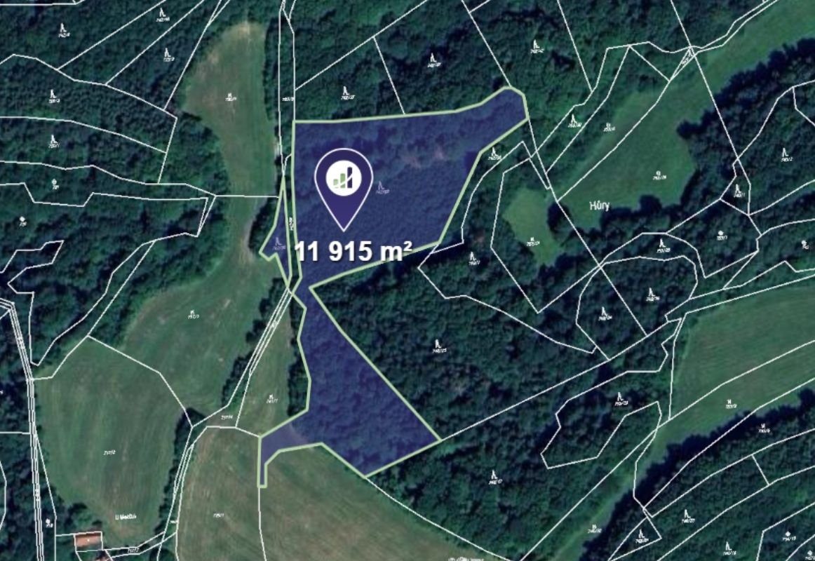 Prodej podílu 1/5 lesa 83 309 m², Prlov - 2