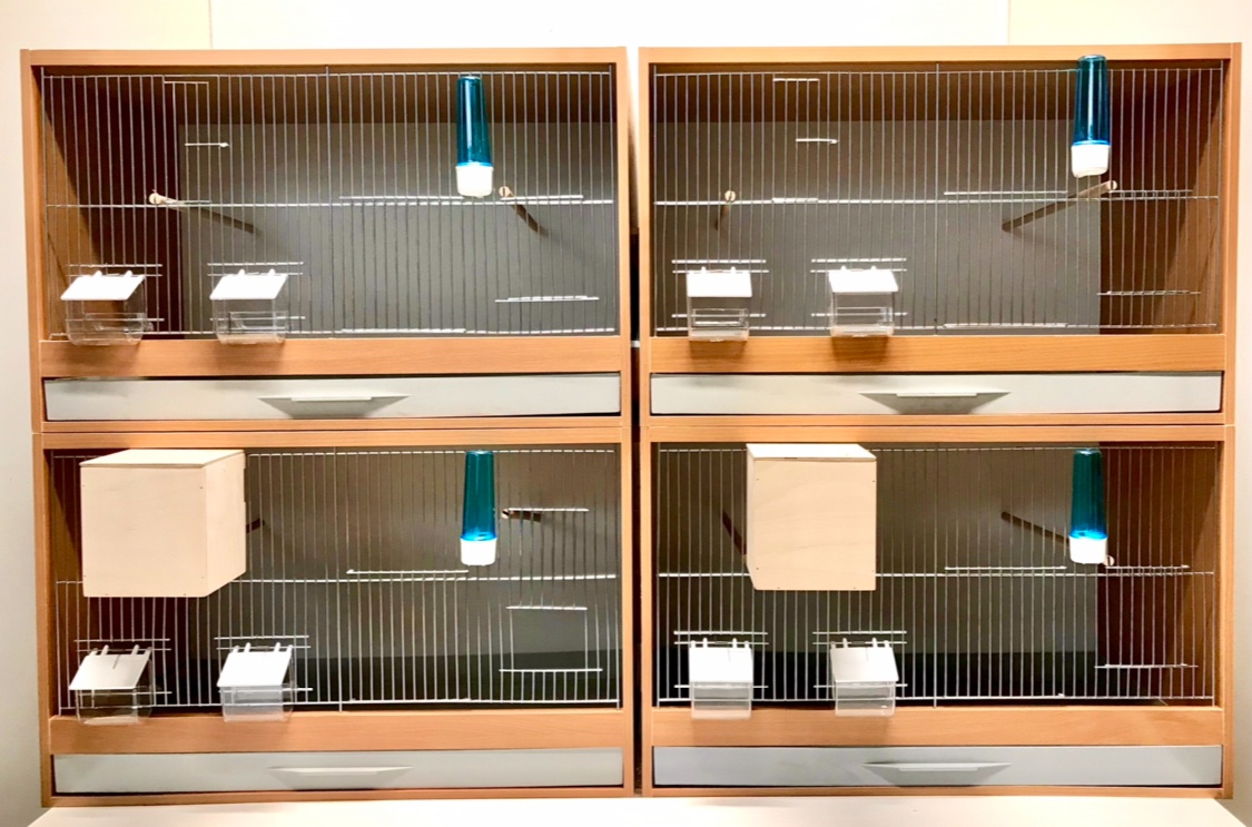 Levné bednové klece z bílého lamina - 2