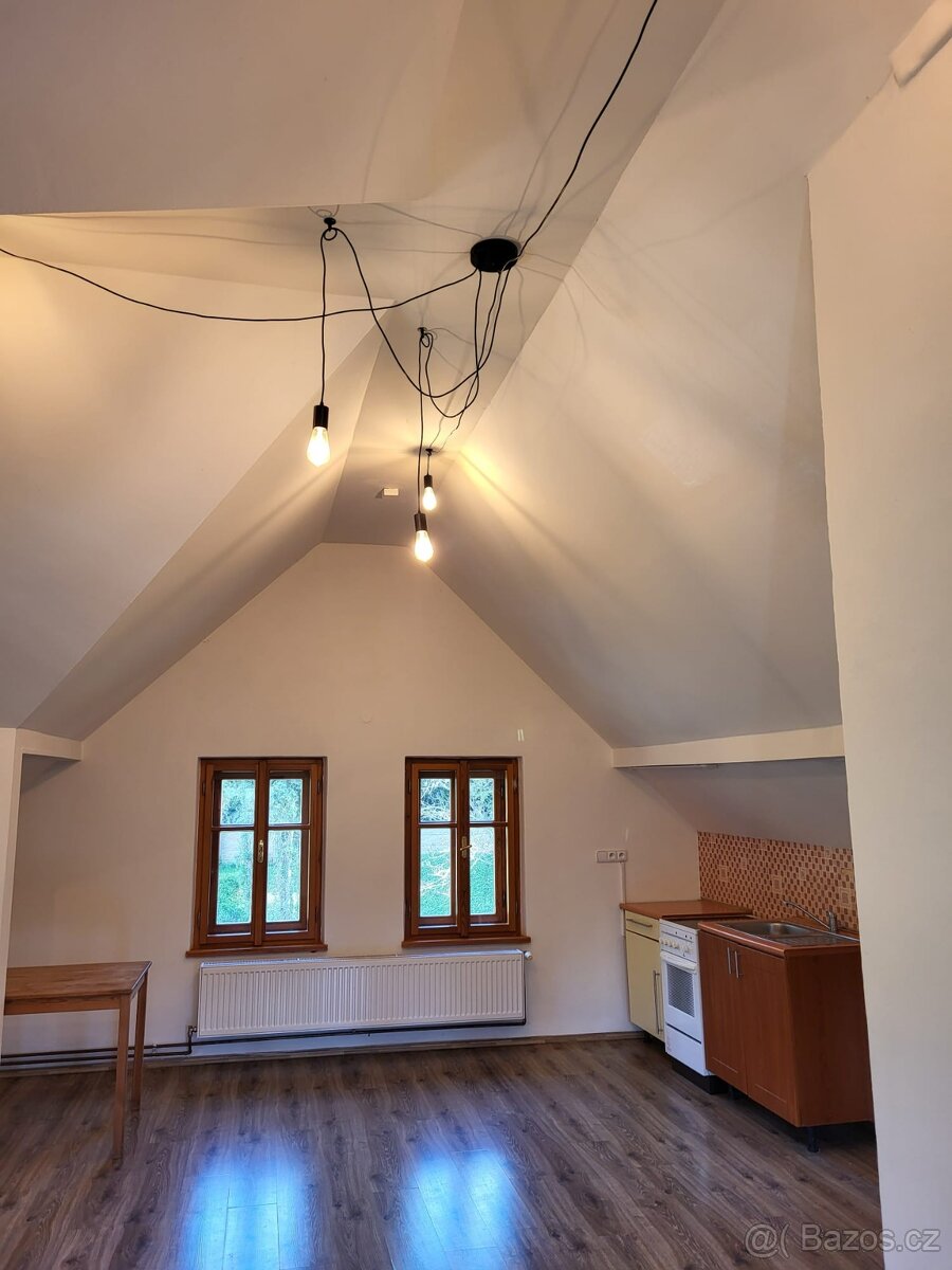 Atypický byt na Praze 6 Suchdole od 1.3. - 2