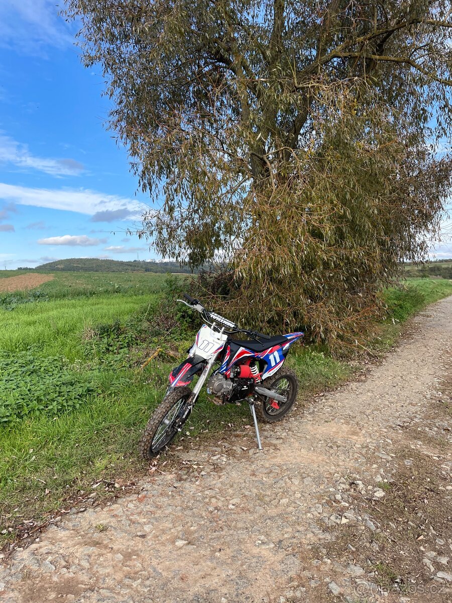 Pitbike leramotors shark 125cc