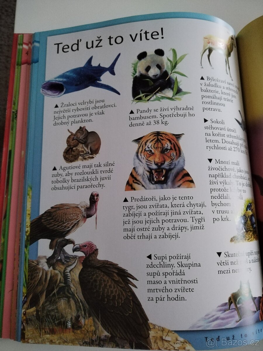 Vše co byste měli vědět o zvířatech - 2