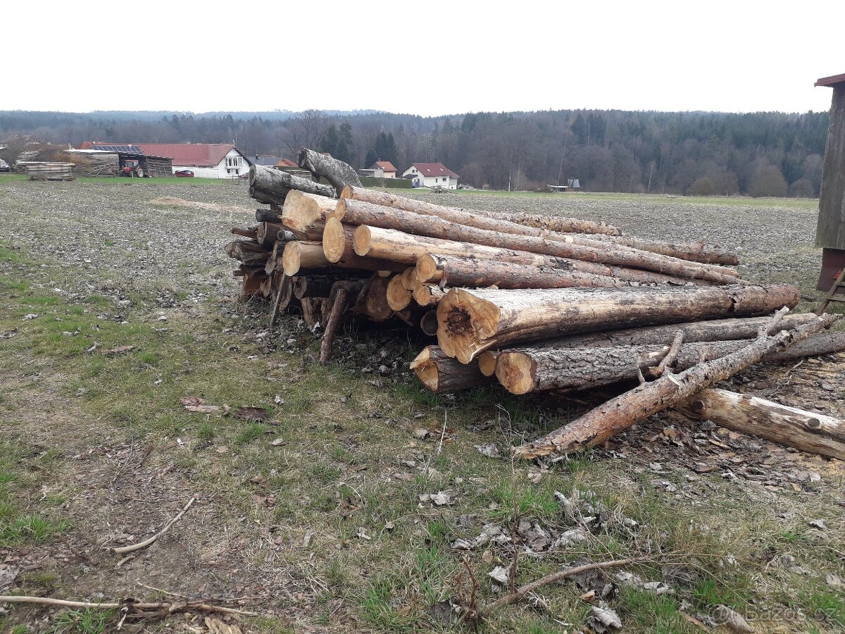 palivové dřevo - 2