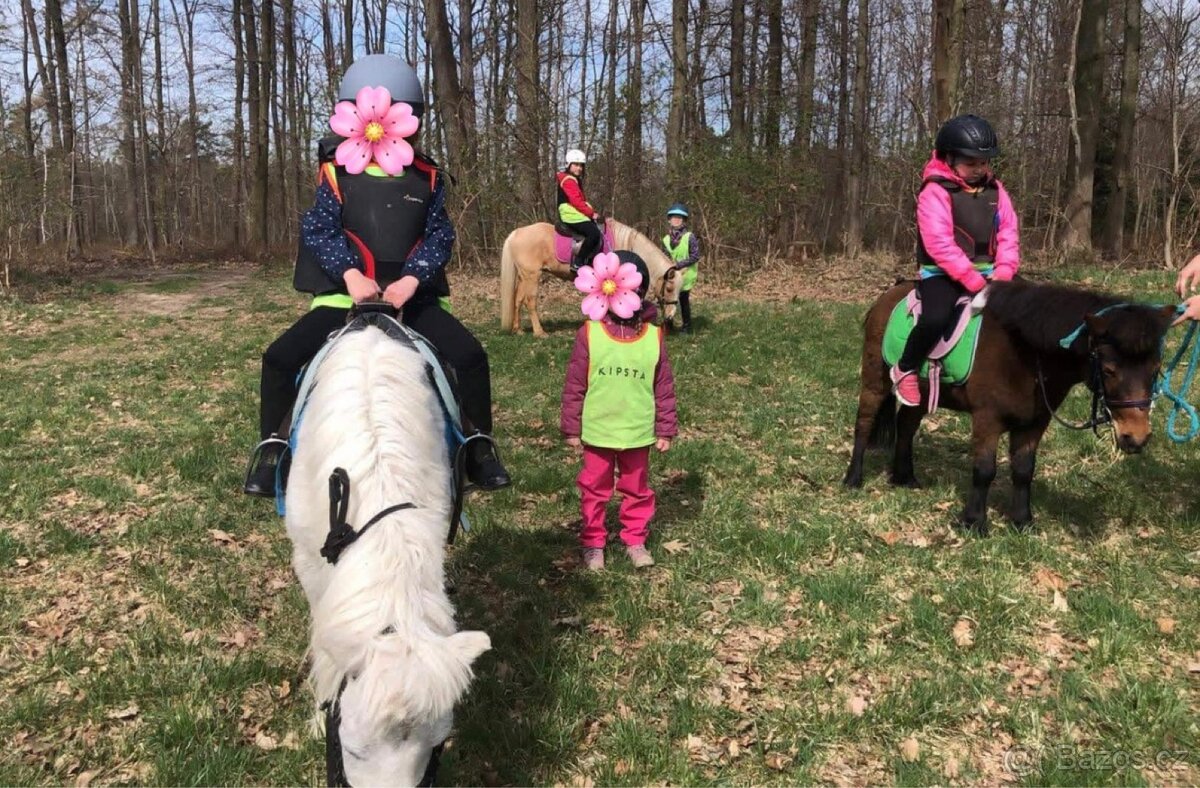 zlatá pony klisna - 2