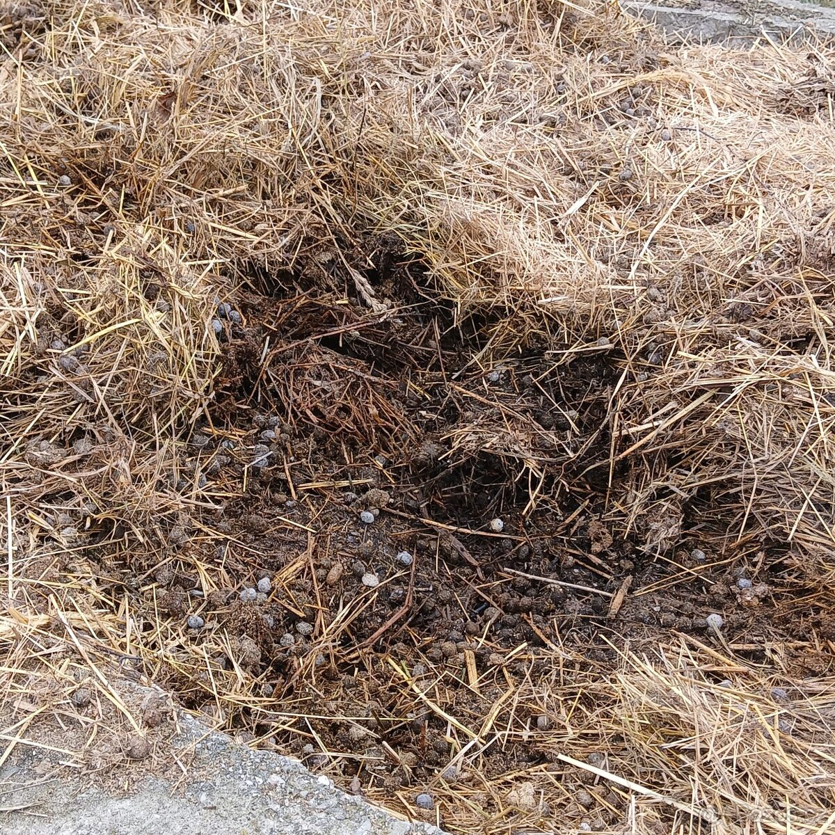 Koňský a králičí hnůj - ZDARMA - 2