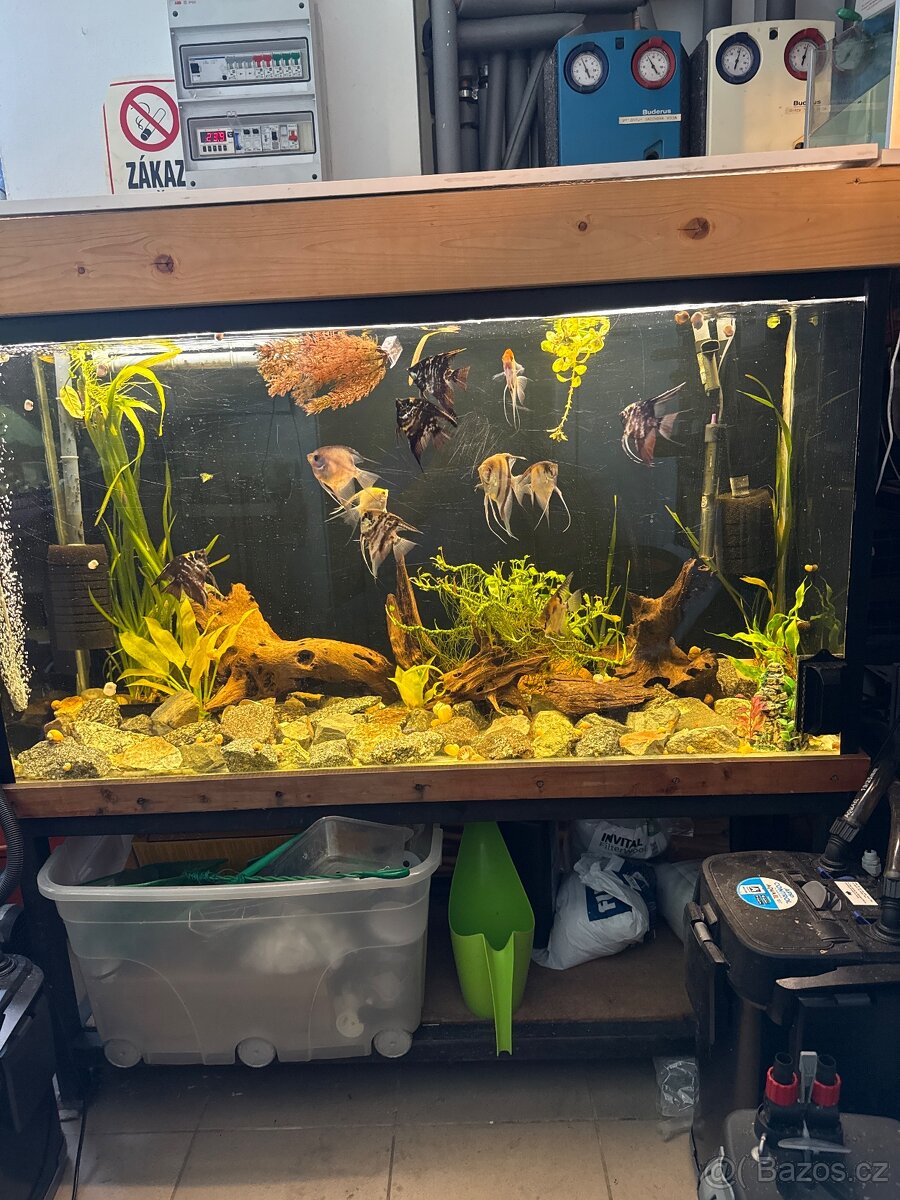 Akvarium 300 litrů - 2