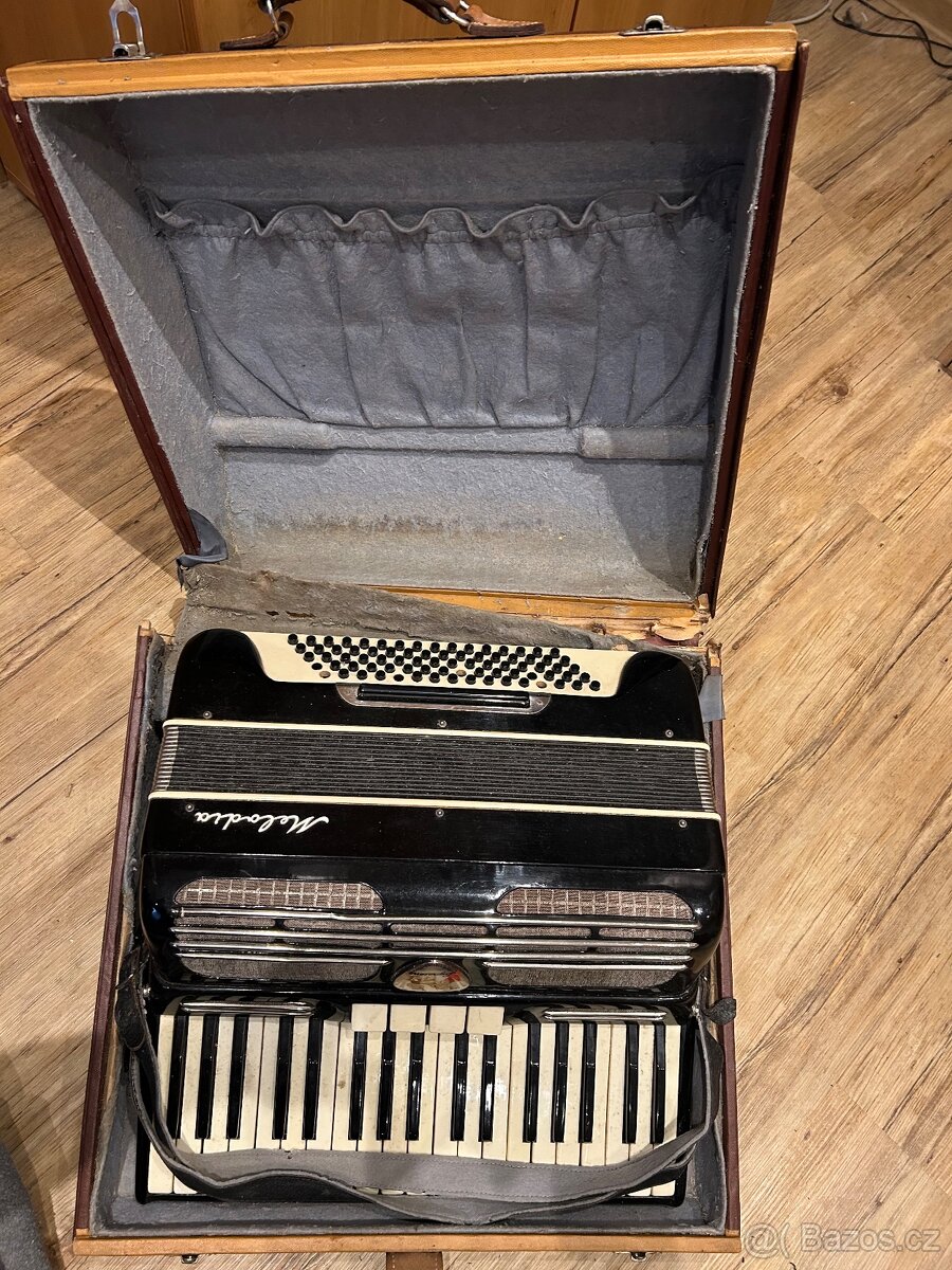 Harmonika Akordeon Lignatone - 2