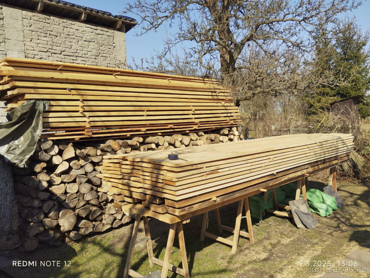 Léčivý Sibiřský Cedr - desky - 2